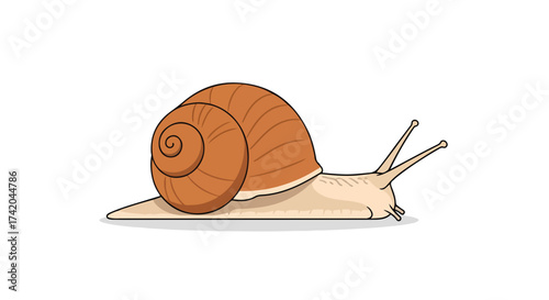 A Charming Snail Illustration: Delightful depiction of a snail with a distinctive shell, presented on a pristine white backdrop creating a visually