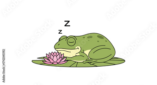 Peaceful amphibian slumber on lily pad alongside a charming water lily illustration