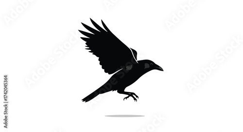 Silhouette of a crow mid-flight against a stark white backdrop with intricate feather details showcasing the bird's graceful movement and powerful