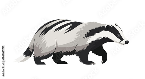 Cartoon badger illustration, isolated on white, showing a digitally created image of a badger in motion featuring distinctive black and white markings