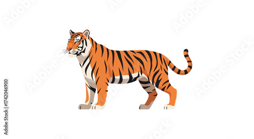 Striking vector illustration of a tiger standing majestically on a plain white background showcasing its vibrant orange and black stripes