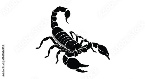 Stylized Scorpion Silhouette Depiction of a Bold Arachnid in Black and White for Graphic Design Applications