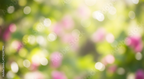 Abstract blurred background of flowers and green foliage
