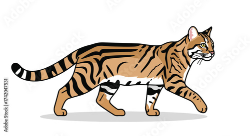 Elegant margay illustration with black stripes walking slowly in a graceful pose isolated on a clean white background, captivating simplicity