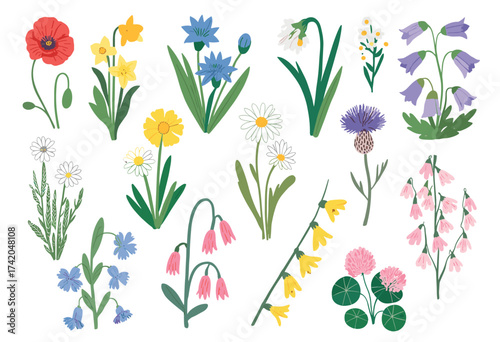 Hand-Drawn Botanical Illustrations in Soft Watercolor Style