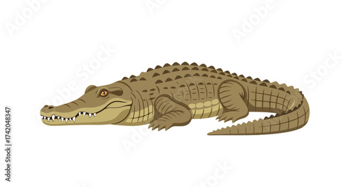 Illustration of a Crocodile Resting With Detailed Scales and Subtle Shading Displaying a Vector Image of a Reptile