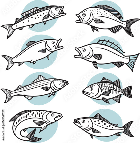 Set of fish icons vector illustration in ocean and water with marine animals each a different species such as snapper, trout, bass, tilapia, cod, sardine.