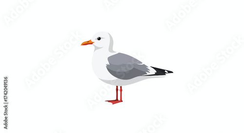 Isolated Seagull Vector Illustration on Clean White Background for Digital Design, Animation or Print Projects