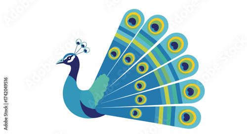 Stylized peacock illustration with vibrant blues, greens, and yellows against a clean white background
