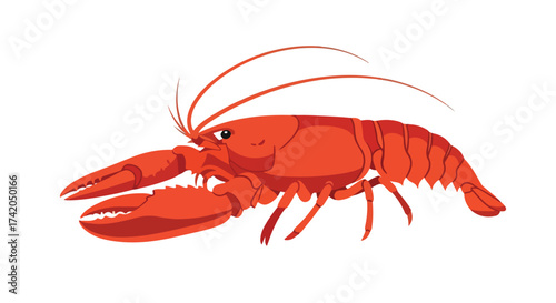 Illustration of a scarlet lobster with detailed exoskeleton and elongated antennae against a white background