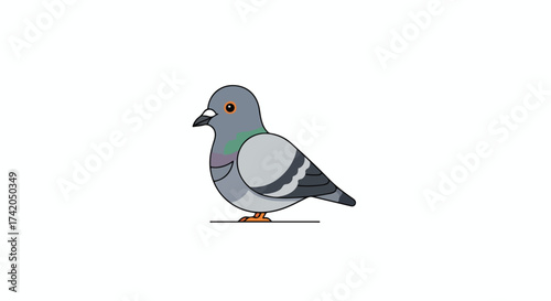 A delightful and simplistic illustration of a pigeon standing against a plain white background showcasing its distinct features