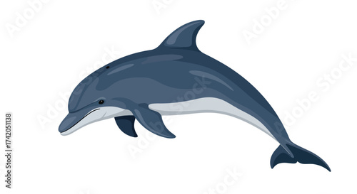 Illustration of a playful dolphin, swimming gracefully through the ocean isolated on a white backdrop