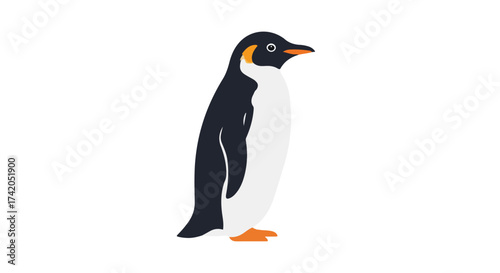 Stylized penguin illustration with orange accents on a pristine white backdrop creating minimalist visual harmony