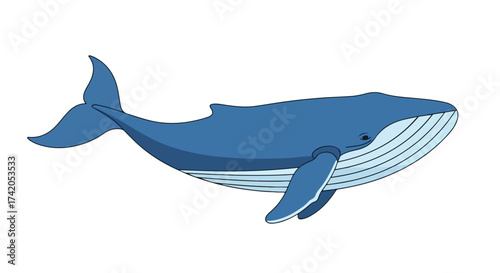 Illustration of a Blue Whale Swimming Freely, Portraying Marine Life in an Artistic Style for Educational Resources