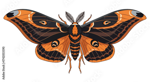 Illustration of a vibrant io moth with symmetrical wings showcasing intricate patterns and coloration, creating a captivating insect depiction