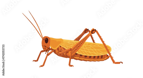 Illustrated grasshopper with detailed leg and wing texture presented on white backdrop, showcasing nature's wonders with a distinctive artistic touch