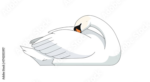 Elegant illustration of a sleeping swan with its head nestled amongst its pristine white feathers in tranquility