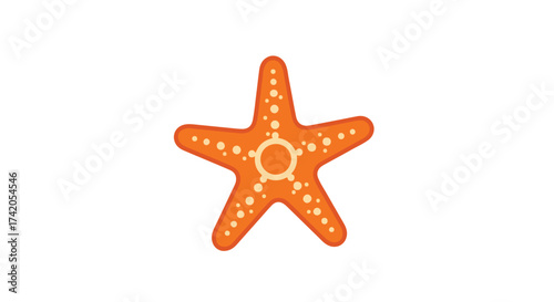 Vibrant orange starfish illustration with intricate details, suitable for ocean-themed designs, adding a playful touch  and seaside charm to any