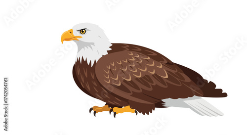 Majestic bald eagle vector illustration on a clean white canvas emphasizing power and freedom embodying national pride with sharp focus