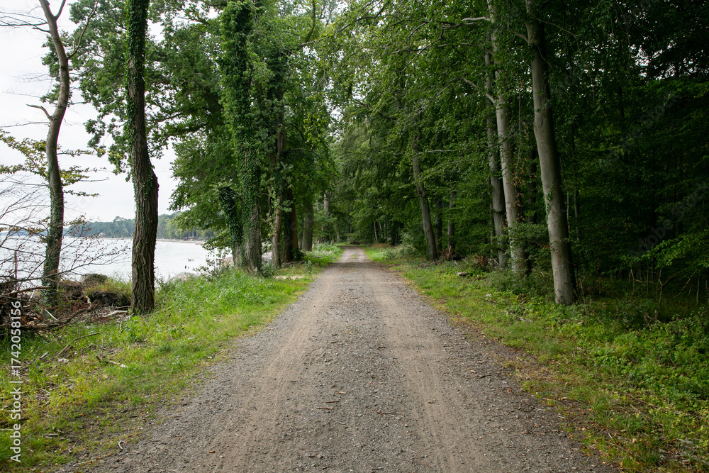 Fototapeta premium Rural cycle path through the forests and landscapes of southern Denmark