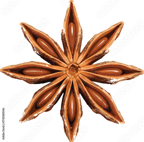 Star anise spice illustration, aromatic herb, culinary seasoning, traditional medicine ingredient, dried pod, natural flavor enhancer, isolated on white background
