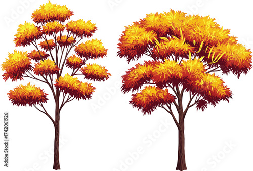 Autumn trees with colorful foliage, fall season nature landscape, vibrant yellow orange red leaves, seasonal change illustration, natural environment design, cad drawing flat vector illustration
