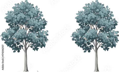 Two tall trees with dense foliage, bluish green leaves, natural forest landscape, botanical illustration, eco friendly design, isolated white background