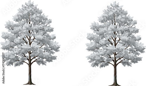 Symmetrical trees with white and gray foliage, mirrored nature design, minimal background, botanical concept, duplicate trunks, decorative landscape element, cad drawing flat vector illustration