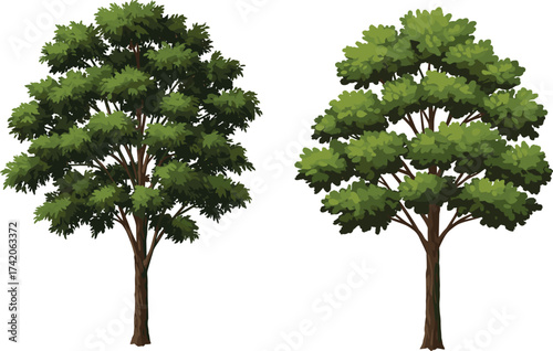 Two lush green trees with detailed foliage and sturdy trunks, natural landscape illustration, botanical diversity, educational design element, cad drawing flat vector illustration