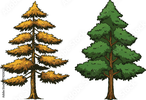 Autumn brown foliage tree with seasonal leaves, lush green summer tree with dense canopy, seasonal nature contrast, botanical landscape illustration, cad drawing flat vector illustration