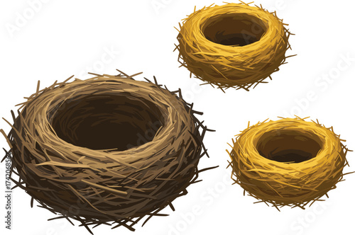 Bird nest illustration, realistic straw nest vector design, natural wildlife shelter, empty animal nest artwork, eco friendly nature object drawing
