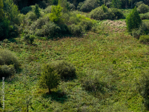 Partly abandoned meadows in autumn