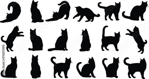 Black cat silhouettes collection, playful feline poses, sitting and standing cats, stretching animals, domestic kitten shapes, vector illustration, isolated background, artwork
