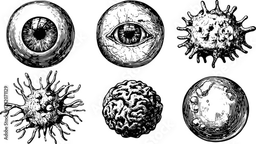 Illustration of eye and cell microorganisms. Detailed vector graphics of bacteria and viruses in black and white, presented as a set.