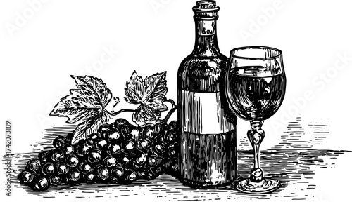 Vintage illustration of a wine bottle, glass, and grapes. Black and white engraving depicting classic beverage elements in a detailed vector art set.