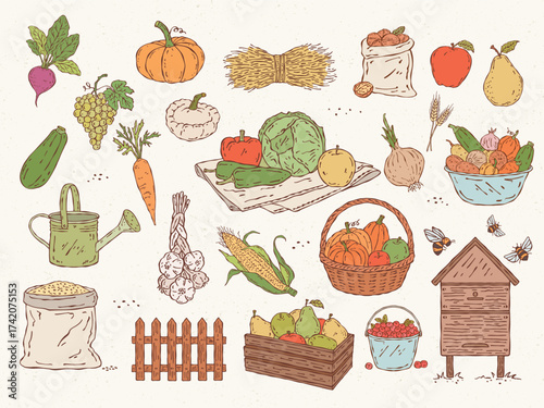 Colorful vector set of farm harvest with fruits, vegetables, basket, beehive, and bees in hand-drawn style. Perfect for organic food, farmers market, and seasonal design projects