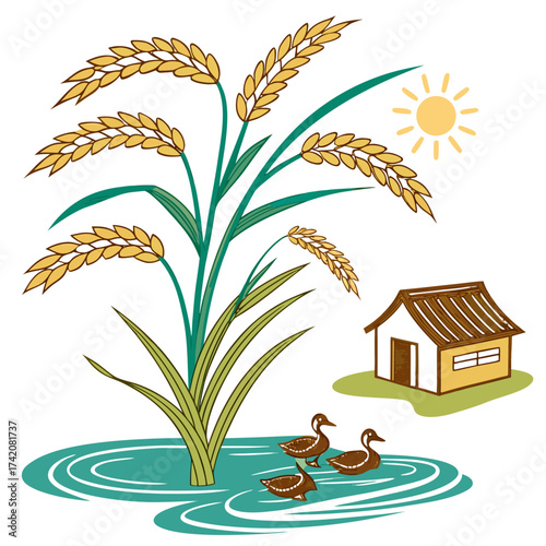 Vector art of a serene illustration of rice plants growing in water, with ducks swimming nearby and a small house in the background, all under a bright sun