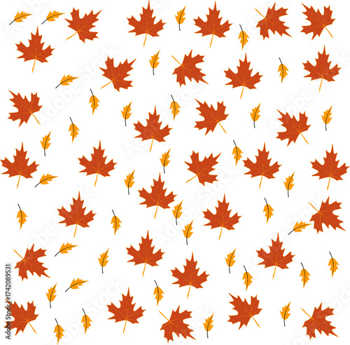 Seamless Pattern of Autumn Maple Leaves in Yellow, Red, and Orange Colors on White Background