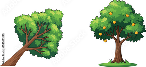 Cartoon tree illustration with lush green leaves, fruit tree with ripe mangoes, natural forest plant, eco farming, garden, organic agriculture
