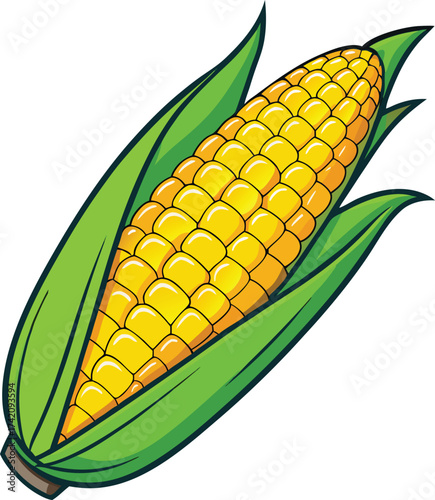 Fresh yellow corn cob with green husks ready for harvest or cooking