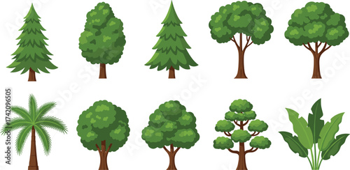 Collection of cartoon trees and tropical plants illustration, green forest vegetation, eco friendly nature design, jungle foliage set, botanical artwork
