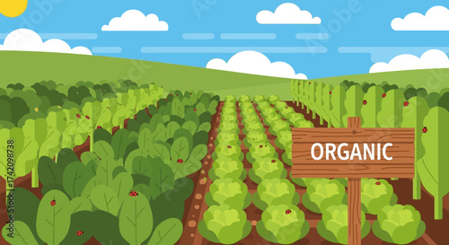 Expansive organic farm with rows green vegetables under blue sky with clouds, showcasing sustainable agriculture and healthy food production