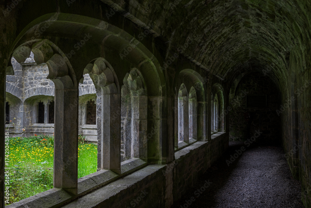 Obraz premium An arched stone cloister with columns creating a covered walkway around a courtyard with greenery, part of the historical Adare Friary, Ireland.