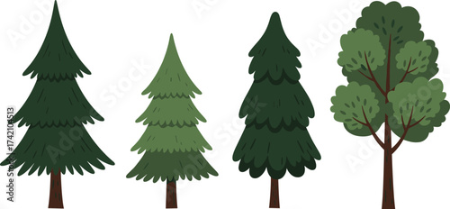 Set of cartoon trees illustration, green forest pine and fir, nature plant collection, ecology concept, woodland landscape design vector