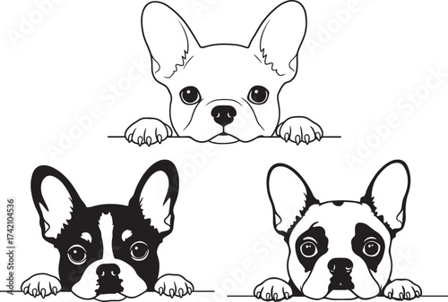 Three french bulldog faces silhouette