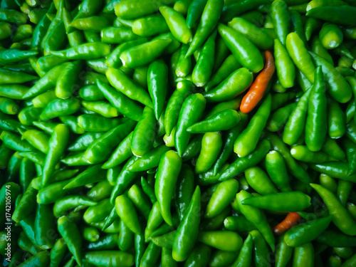 A single orange-red chili pepper stands out prominently amidst a dense, full-frame pile of vibrant green chili peppers.