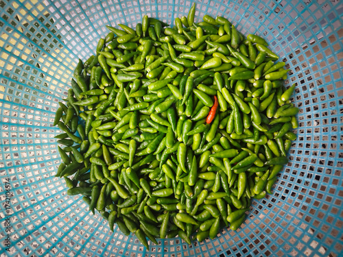 A single orange-red chili pepper stands out prominently amidst a dense, full-frame pile of vibrant green chili peppers.