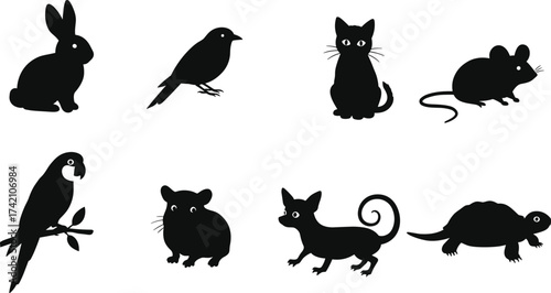 Silhouette of cute domestic and wild animals, rabbit, cat, bird, mouse, parrot, turtle, hamster, pet illustration design vector