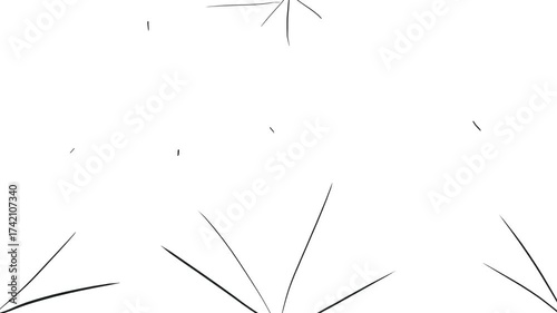 Thin needles protrude along the edges of the image. Small hairs or needles flicker between objects.