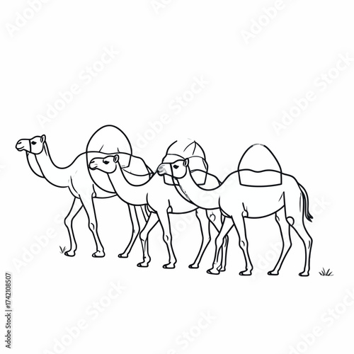 Line art illustration of three camels walking in a desert environment